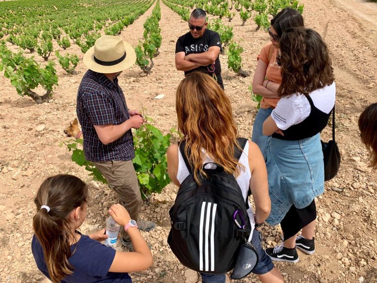 El viticultor explica una cepa a un grupo de visitantes entre las hileras del viñedo