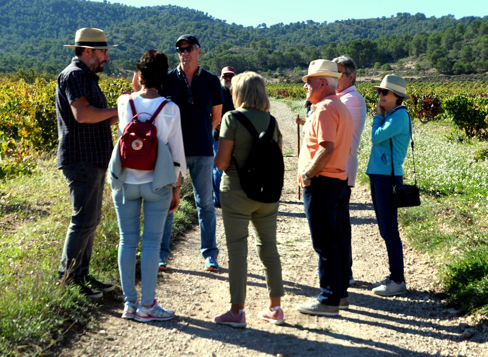 Un grupo de visitantes recorriendo el viñedo